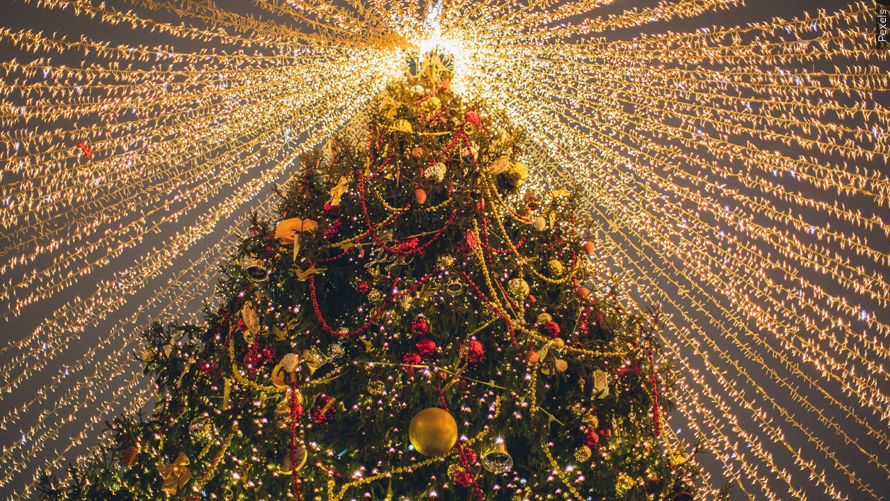 Are you in the Christmas spirit yet?