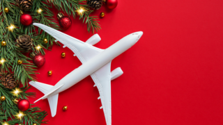 Will you be flying to your holiday destination this year?