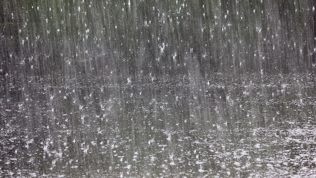 Are you prepared for possible rain showers? SquareOffs