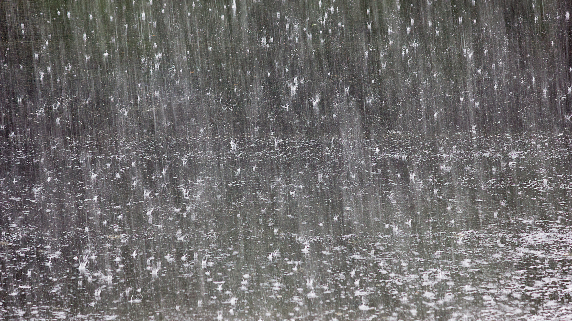 Are you prepared for possible rain showers?