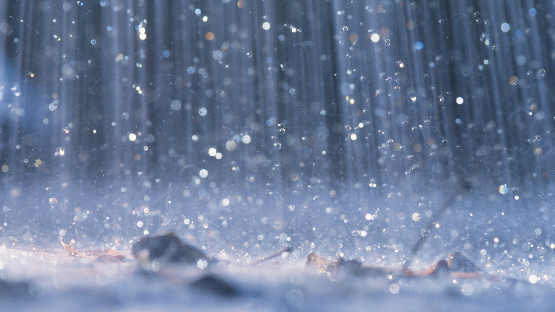 Are you enjoying the rain today?