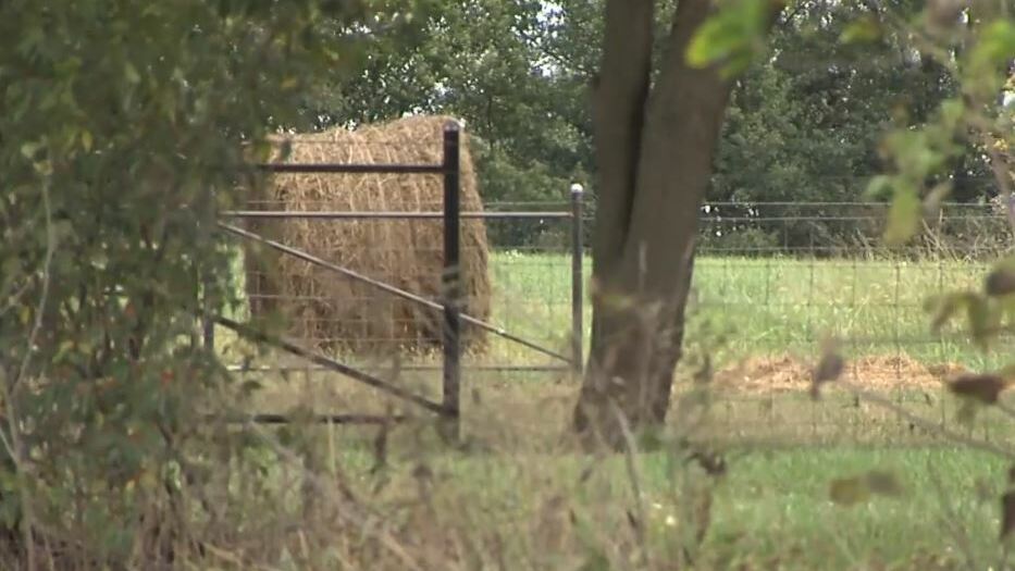 Should Missouri lawmakers focus on foreign ownership of farmland?