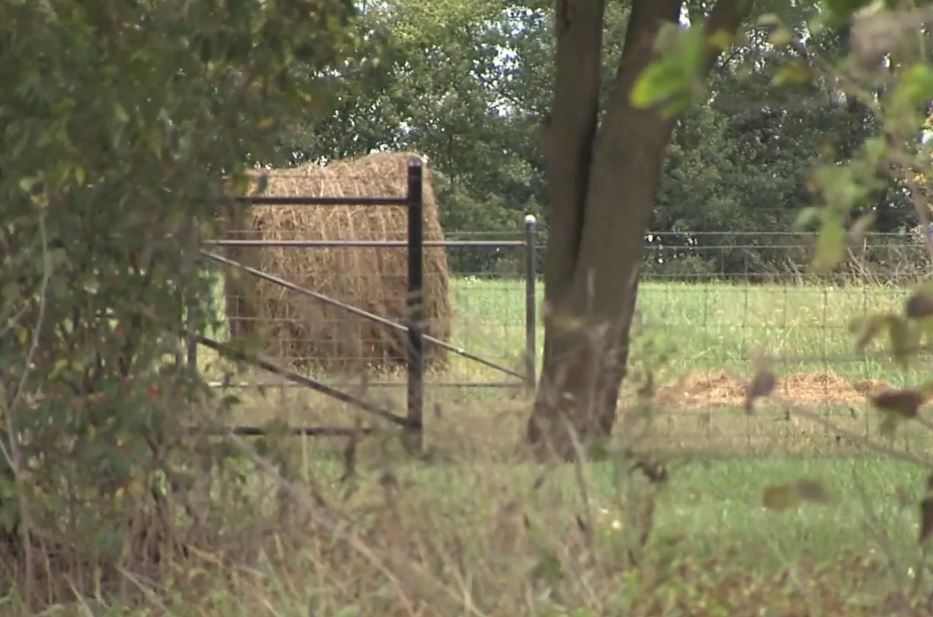 Should Missouri lawmakers focus on foreign ownership of farmland?