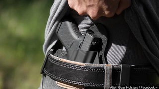 Do you think public K-12 school employees should be allowed to carry concealed weapons?