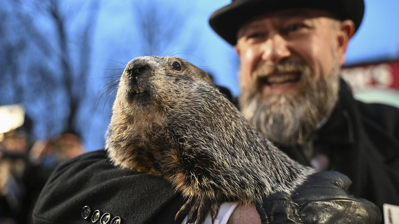 Since Punxsutawney Phil predicted an early spring, are you looking forward to nicer weather?