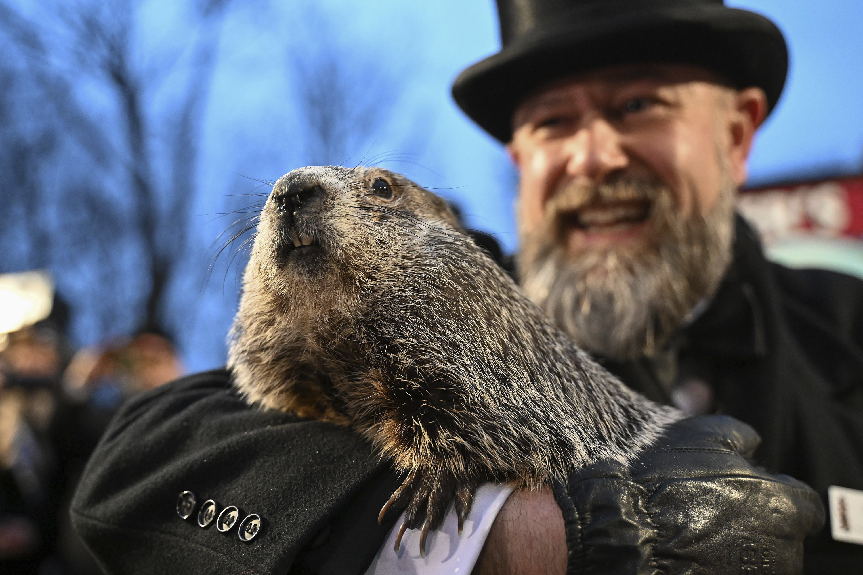 Since Punxsutawney Phil predicted an early spring, are you looking forward to nicer weather?