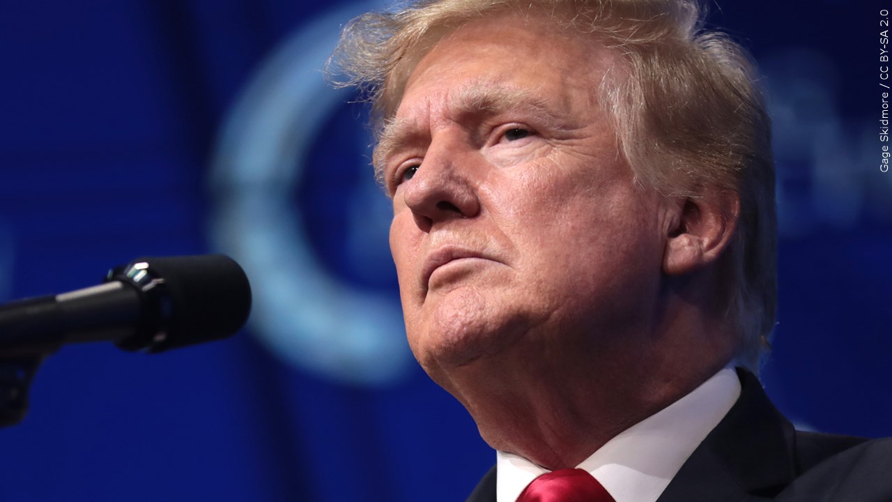 Do you believe former President Trump should not be immune from prosecution?