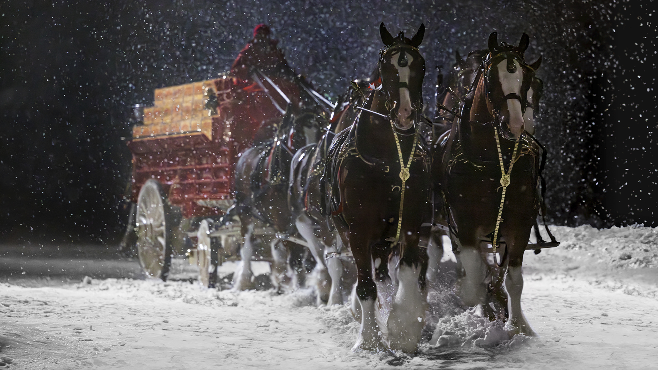 Which do you look forward to more during the Super Bowl, the ads or the game itself?