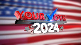 Have you voted yet in the March Primary Elections?