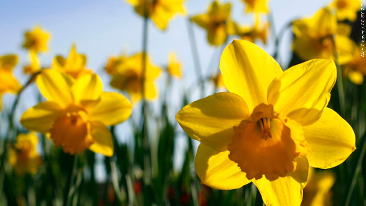 Spring is officially here! Are you ready for winter to be over?
