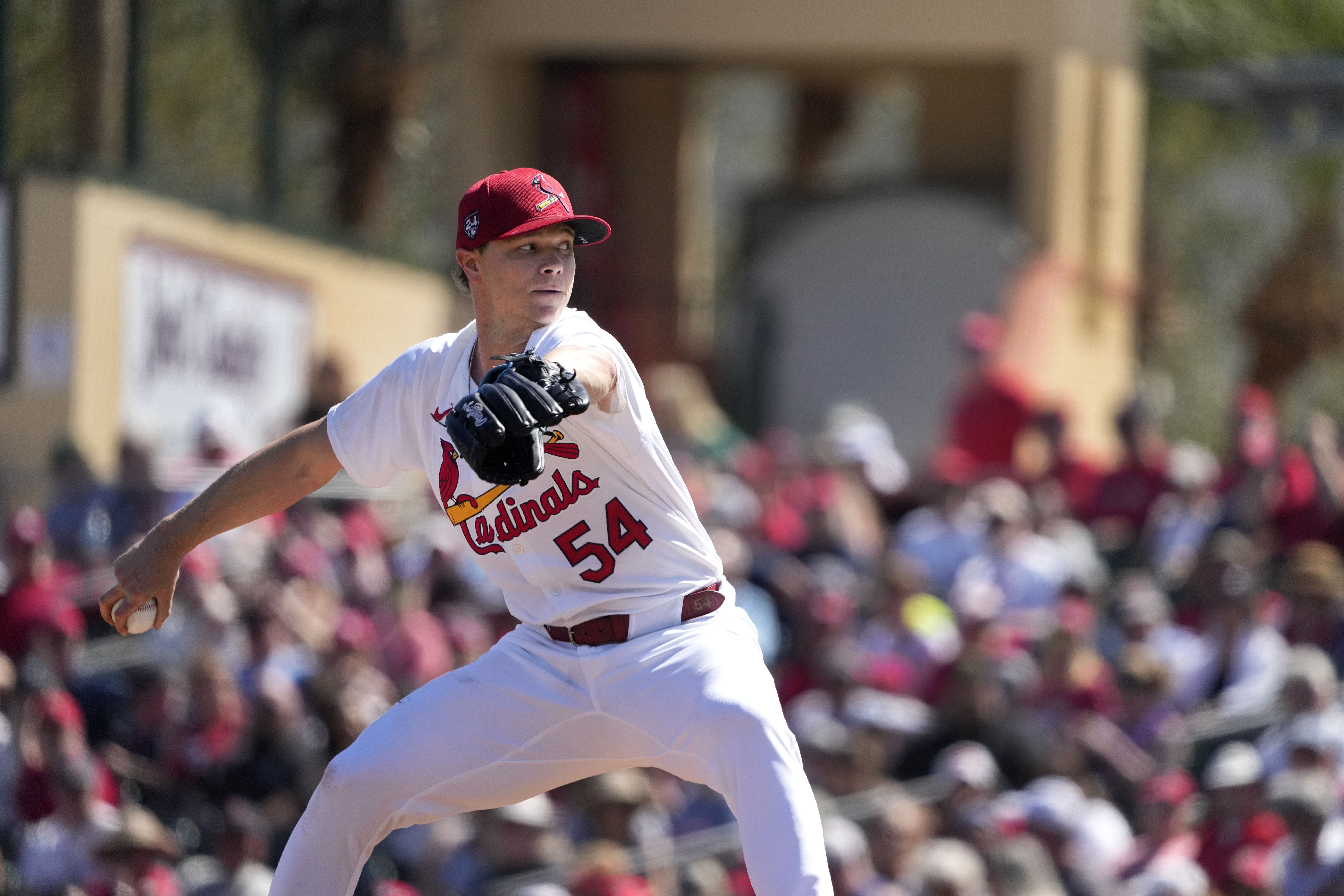 QUESTION OF THE DAY: Do you plan on attending a baseball game this year?