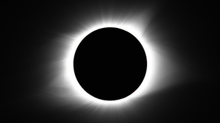 Will you travel to see the eclipse?