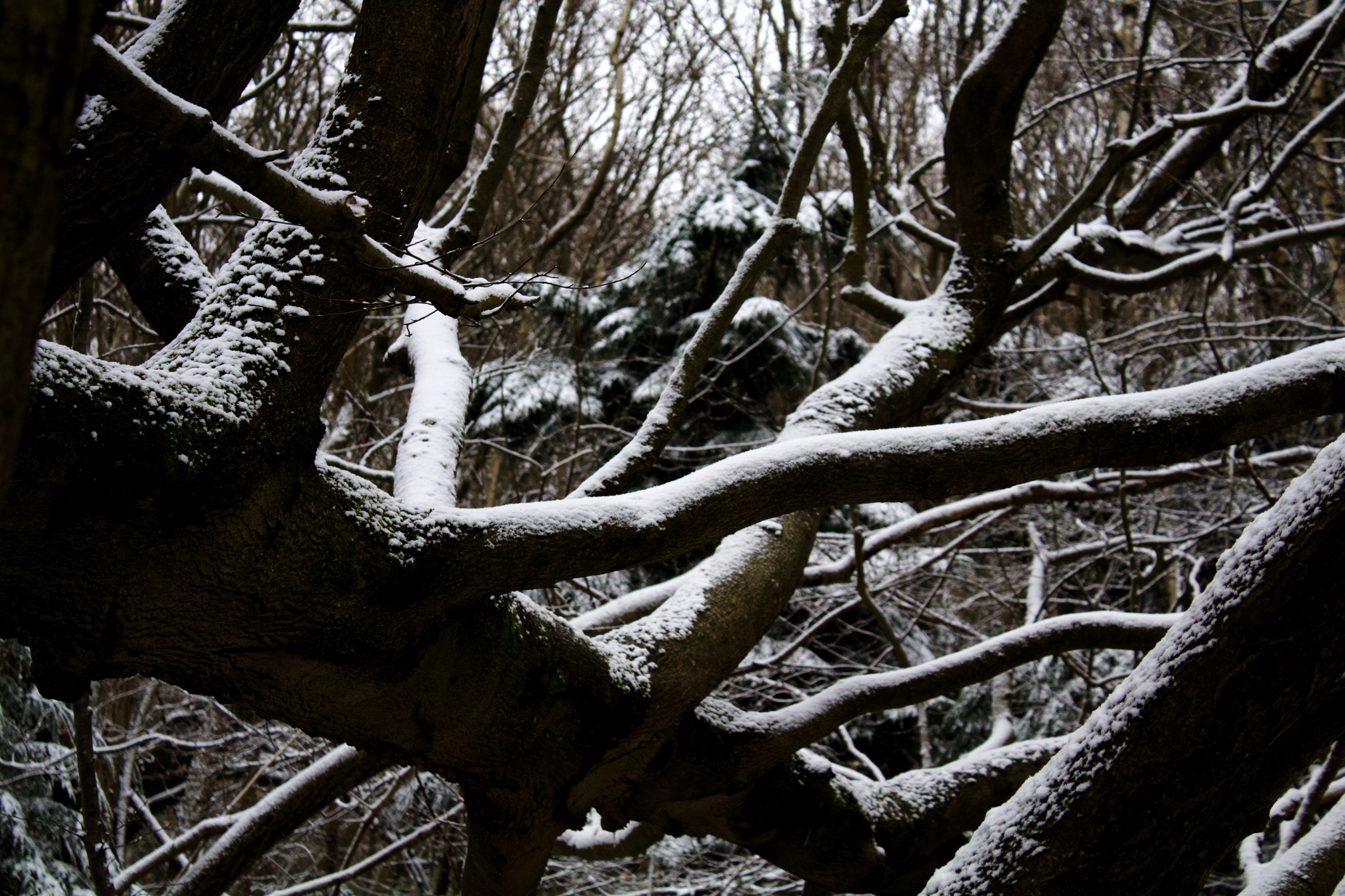 Were you surprised by the snow we received Tuesday morning?