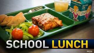 Do you think school lunch is providing the best nutrition for children?