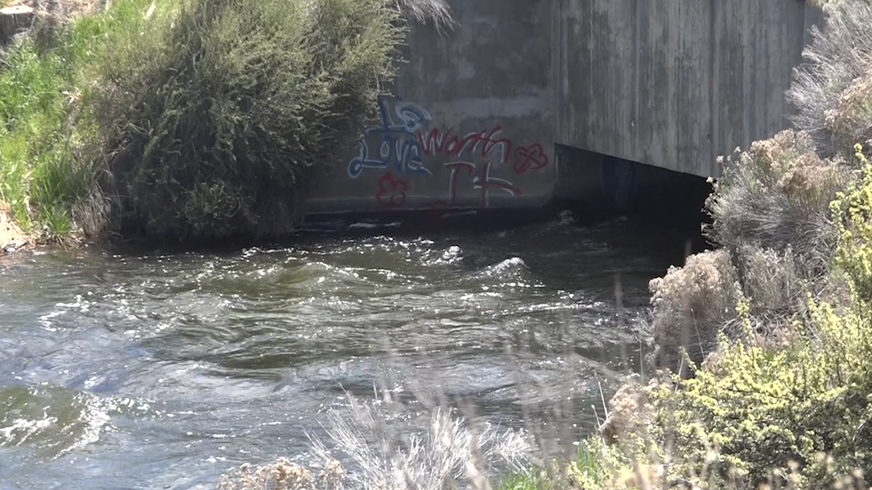 Do you agree with piping of canals in Central Oregon?