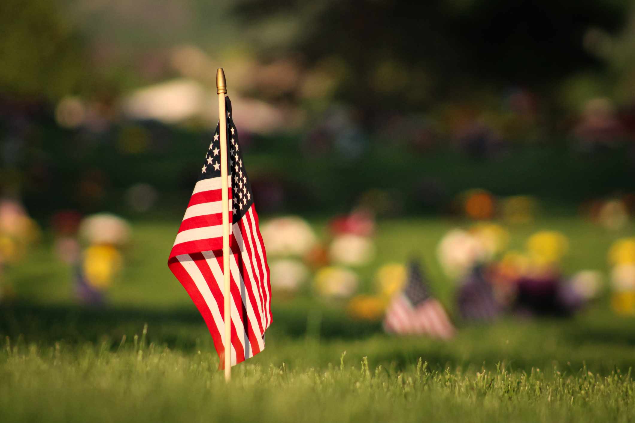 Do you have any plans for Memorial Day?