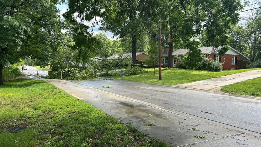 Has any of your property been damaged by storms this year?