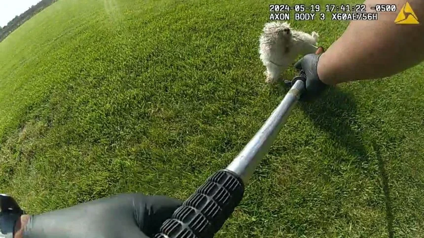 Should the City of Sturgeon ask for an investigation of a dog's shooting by an officer?