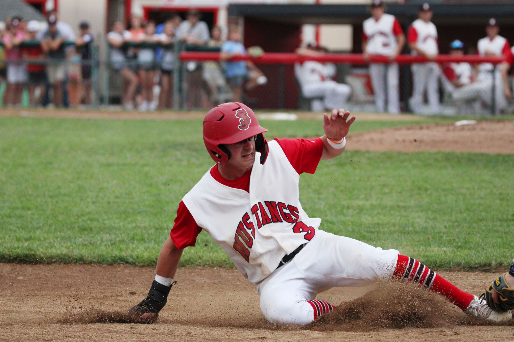 Have you gone to, or plan to go to, any Mustangs games?
