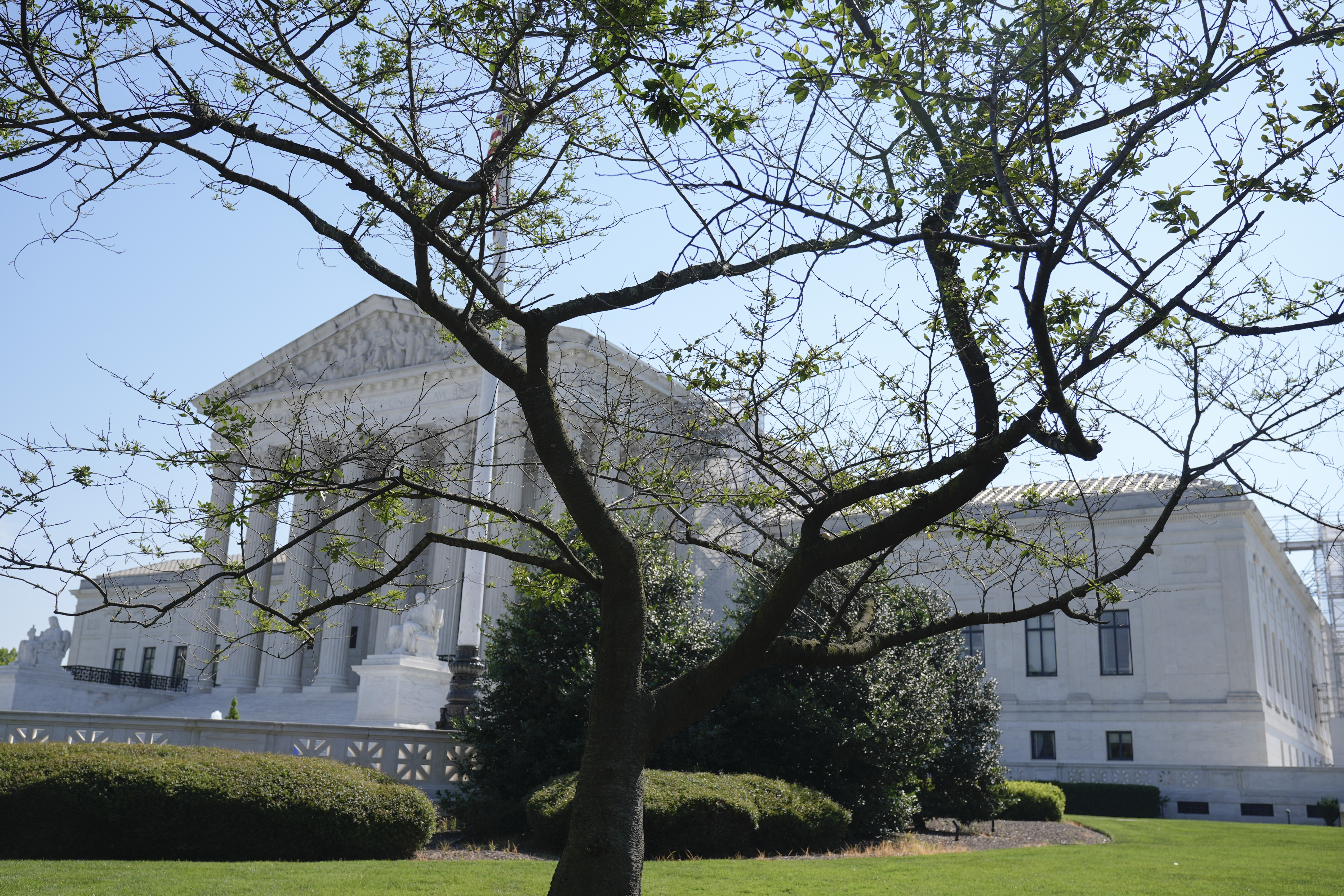 Do you agree with the Supreme Court's ruling on bump stocks?