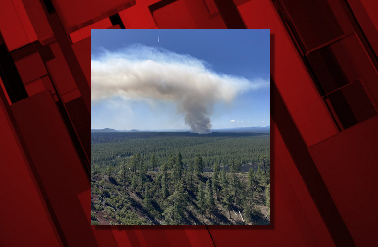 Do you support the increase in prescribed burns?