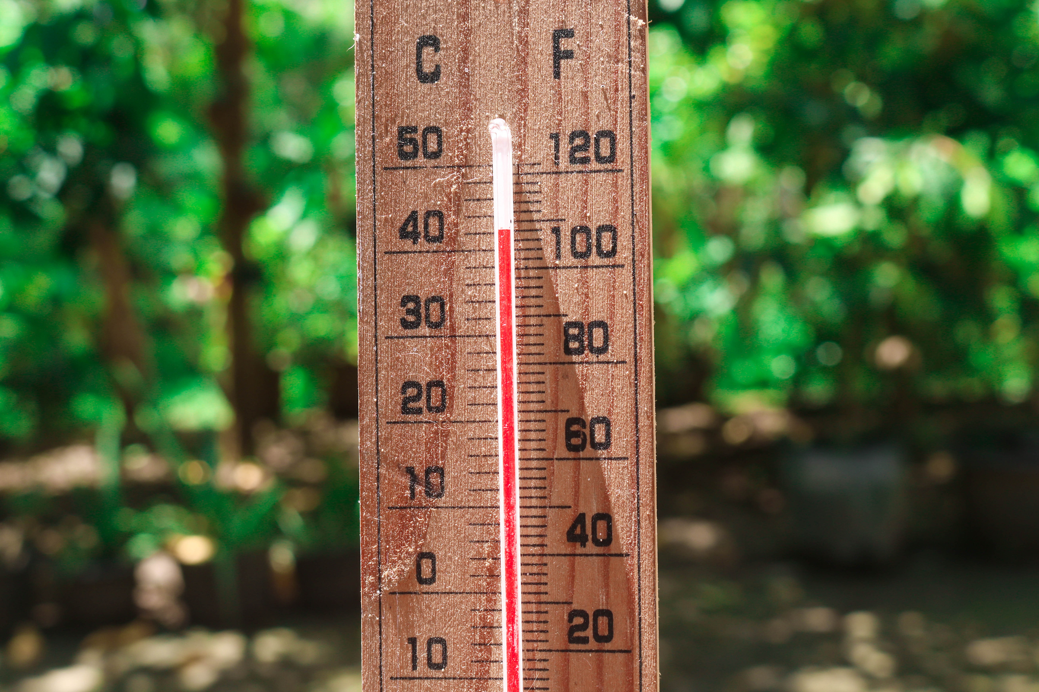 Even though summer has just begun, are you tired of the heat already?