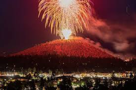 Do your pets get frightened by fireworks?