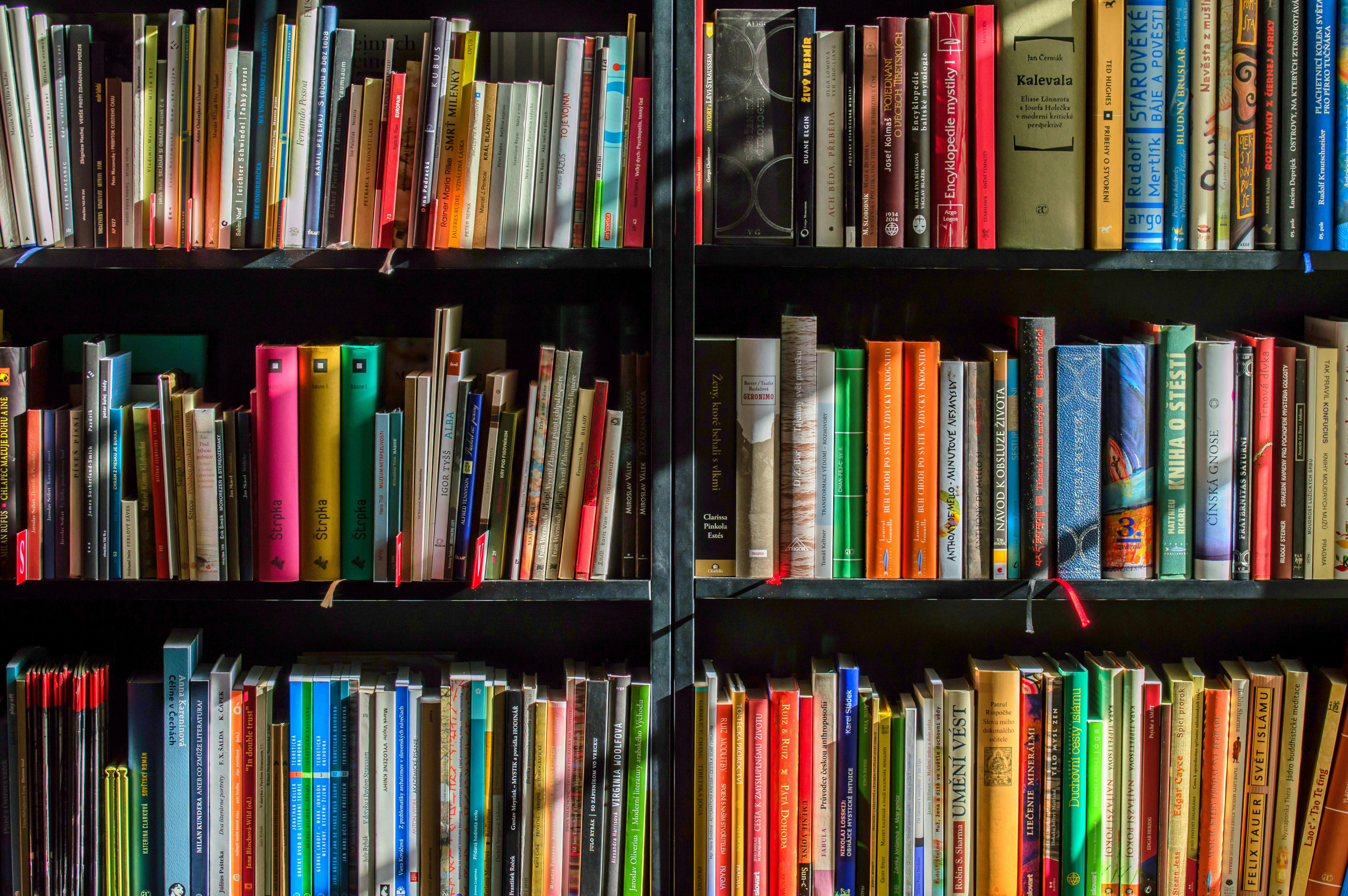 Which is more valuable for success in business?