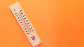Does the excessive heat impact your mood?