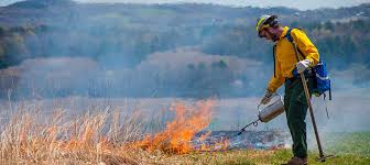 Would you support an increase in prescribed burns? 