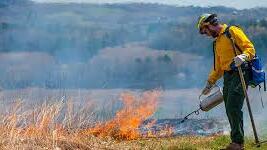 Would you support an increase in prescribed burns? 