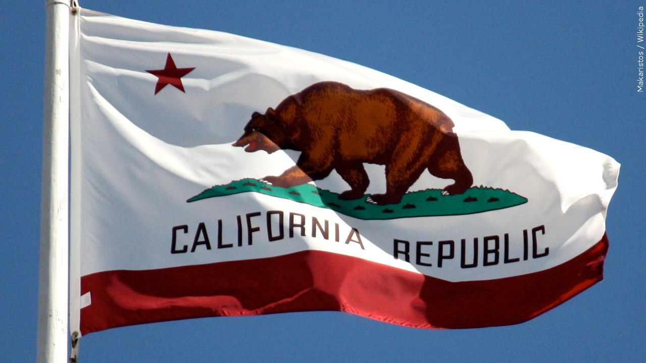Do you agree with California's new gender identity law?