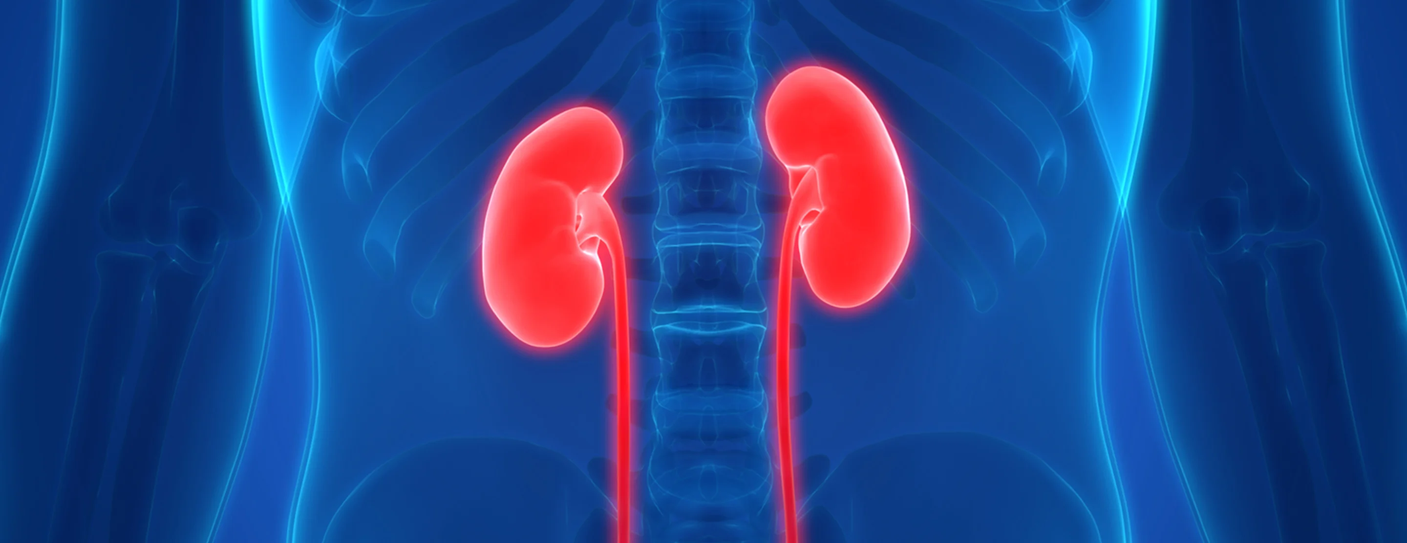 Have you ever considered donating a kidney? 