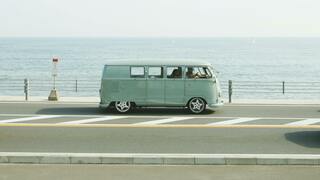 Do you rent a vehicle when you travel? 