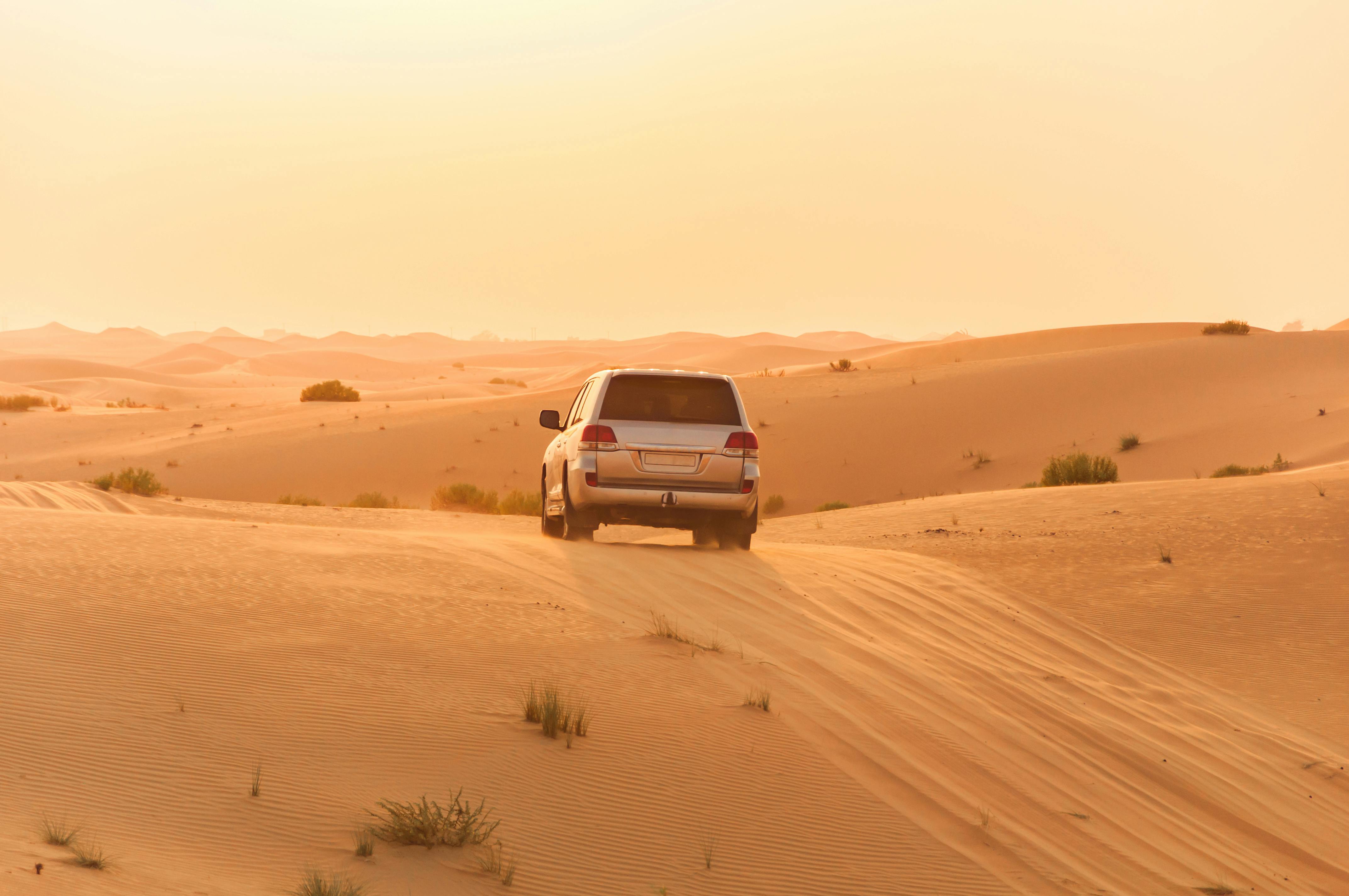 Which desert experience would you prefer in Abu Dhabi?