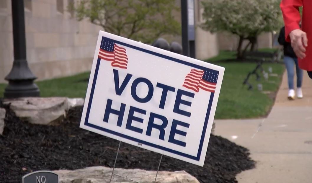 Do you plan to vote early in the August primary?
