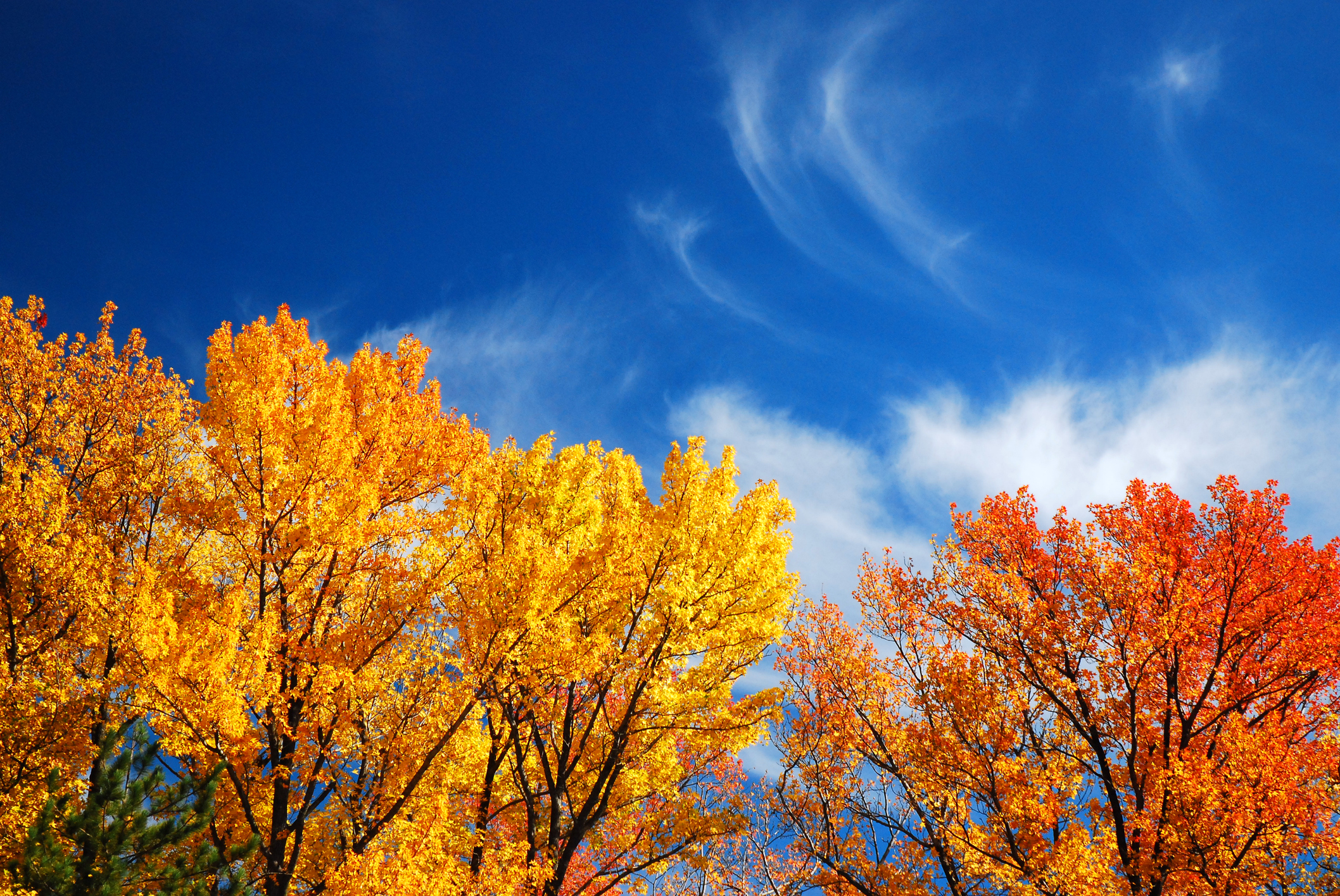 Are you looking forward to fall?