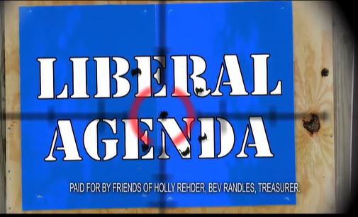 Do political ads influence your vote?