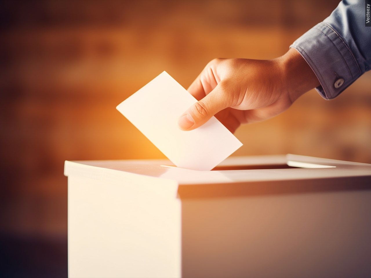 Are you going to vote in Missouri's primary election Tuesday?