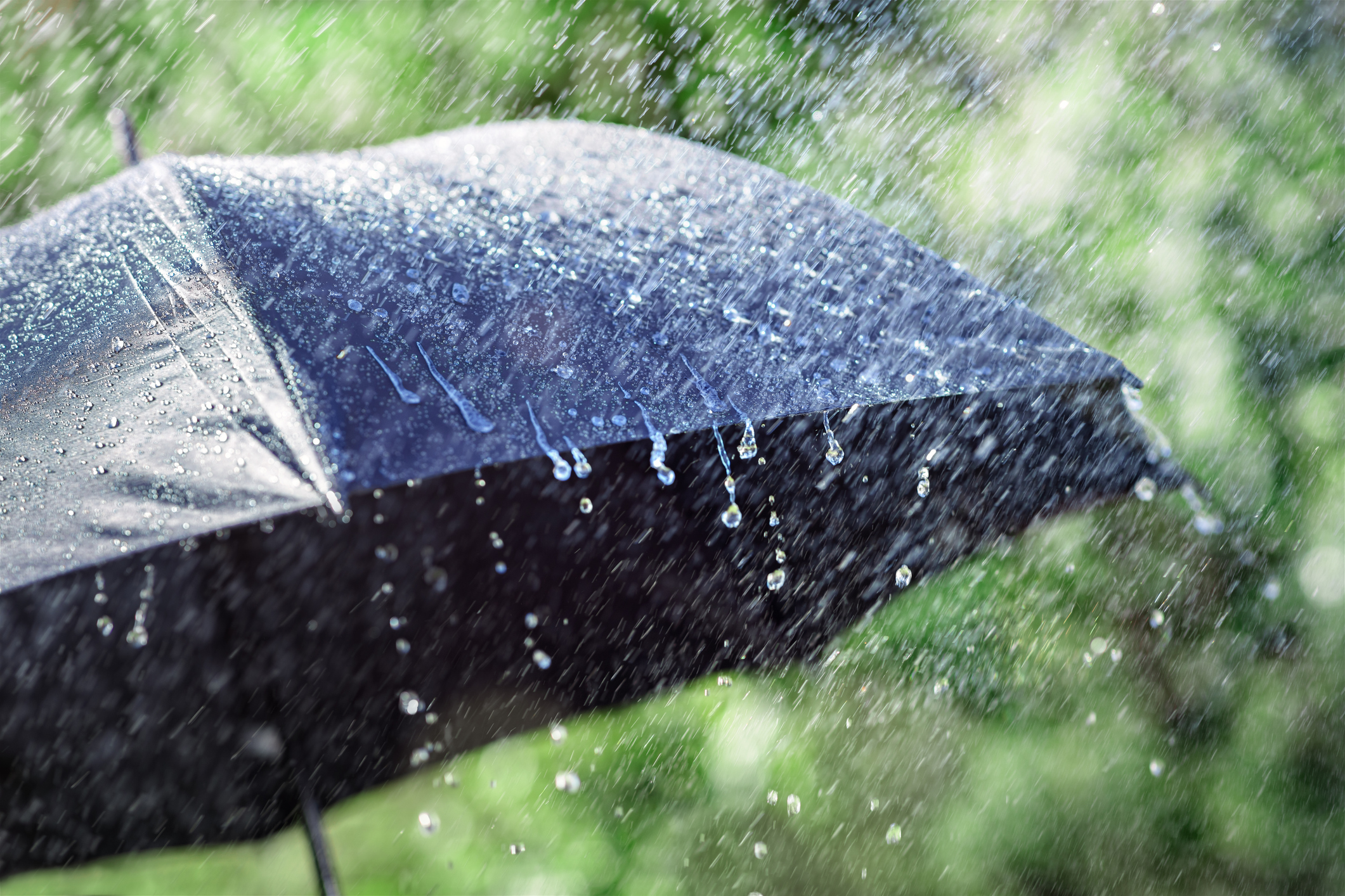 Do you like rainy weather?