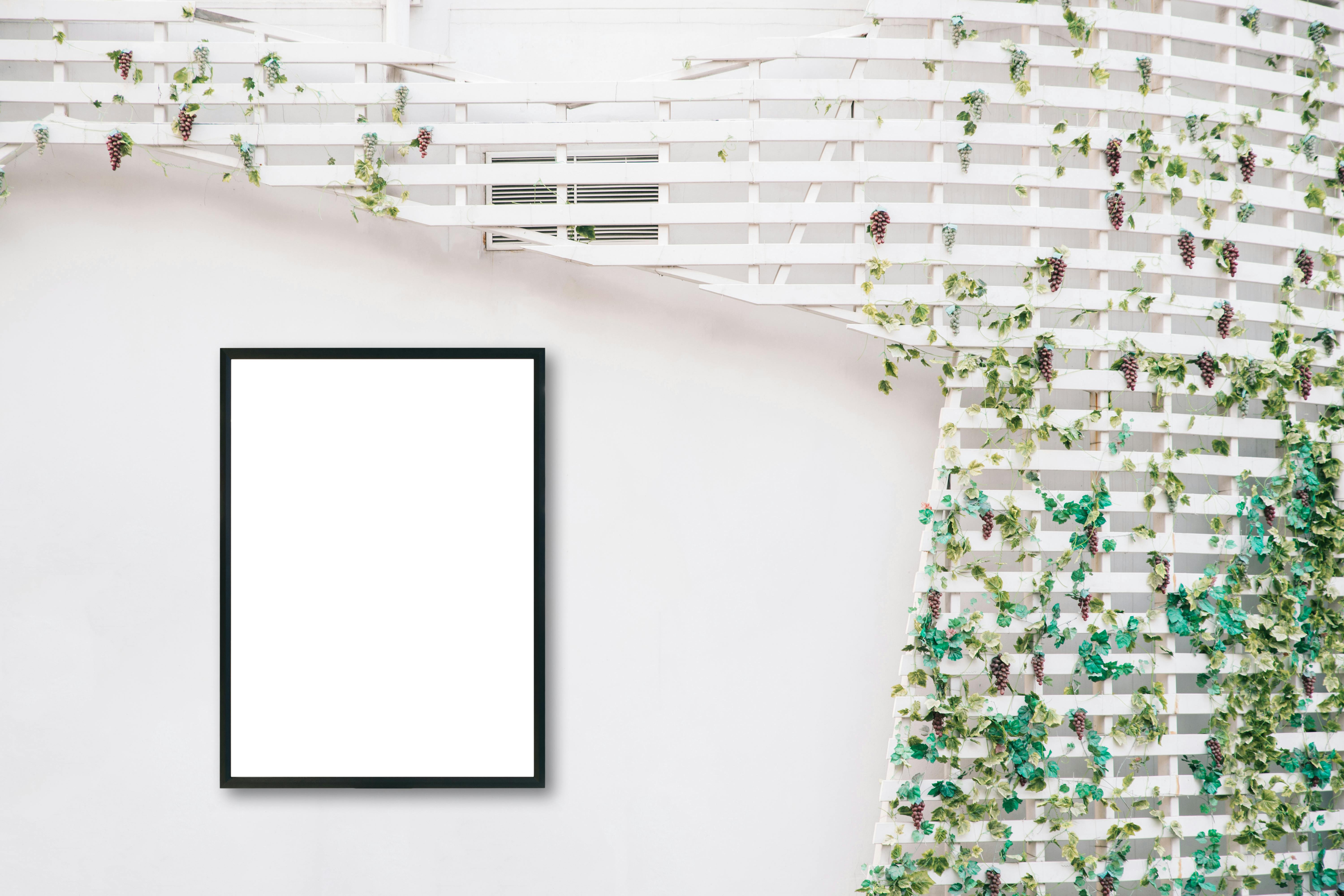 Do you ever print and frame photos from your phone?