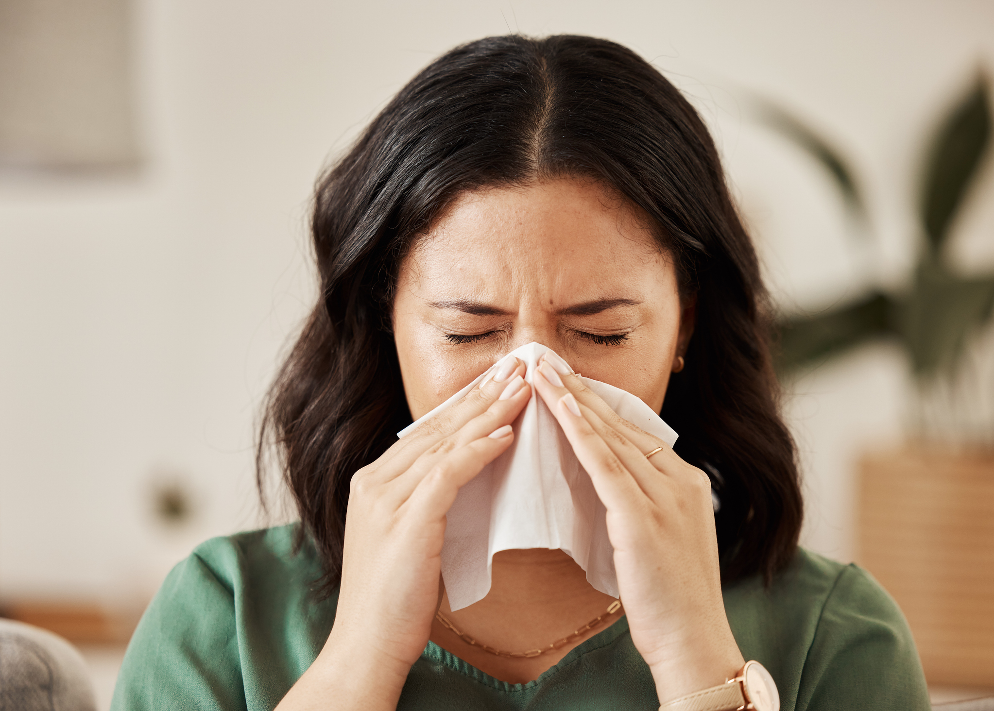 With ragweed on the rise, have your allergies flared up?