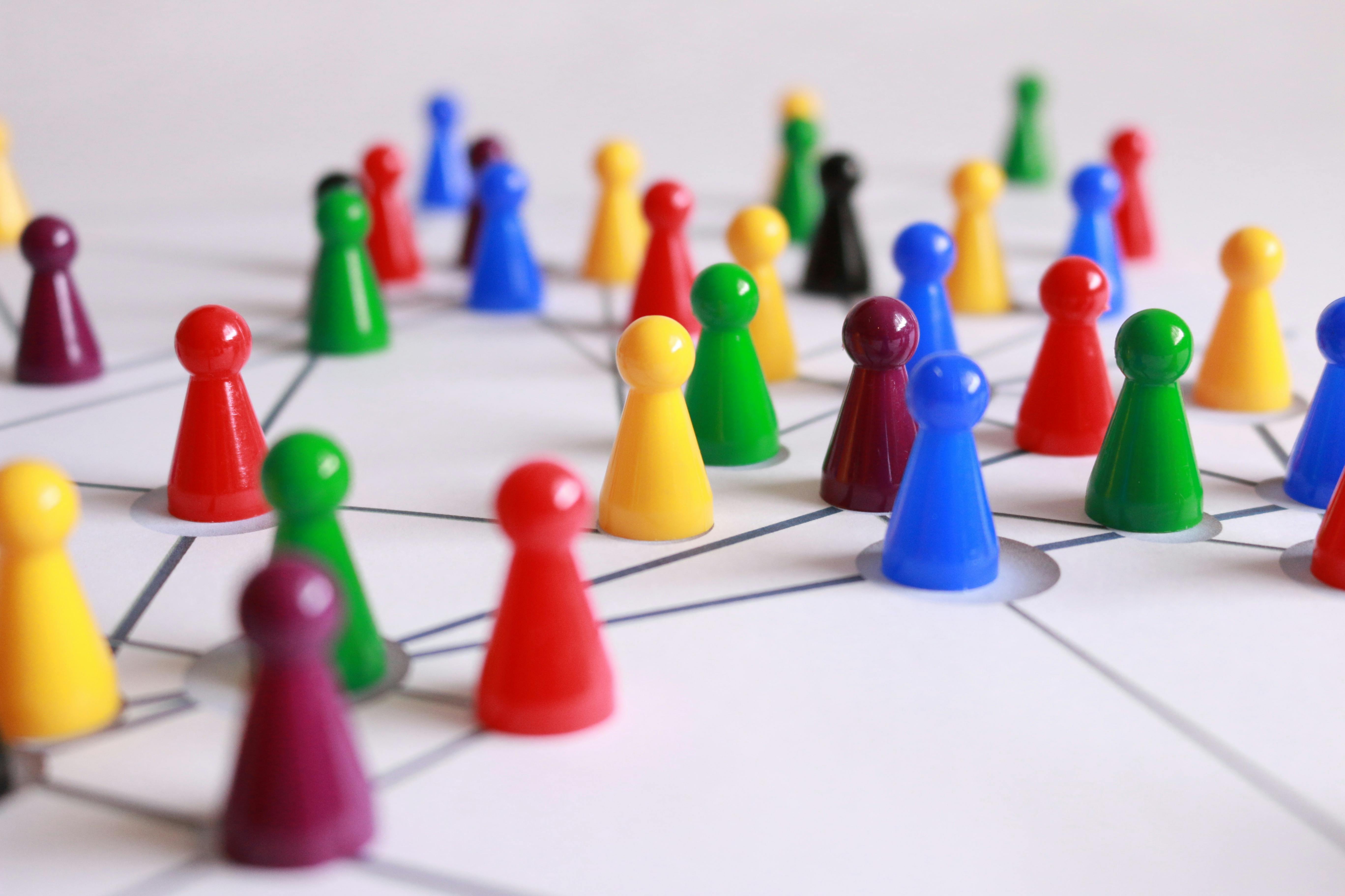 What drives startup success more: networking or innovation?