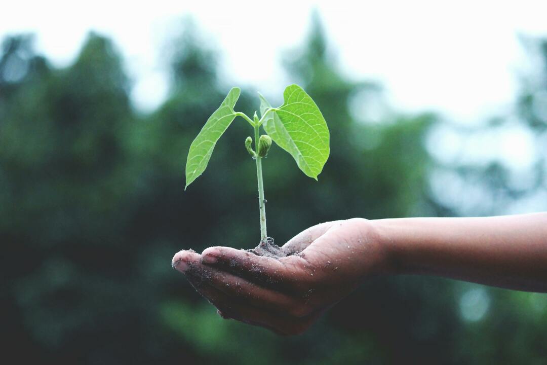 Should entrepreneurs prioritize sustainability or profit?