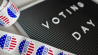 Do you plan to vote in the November election?