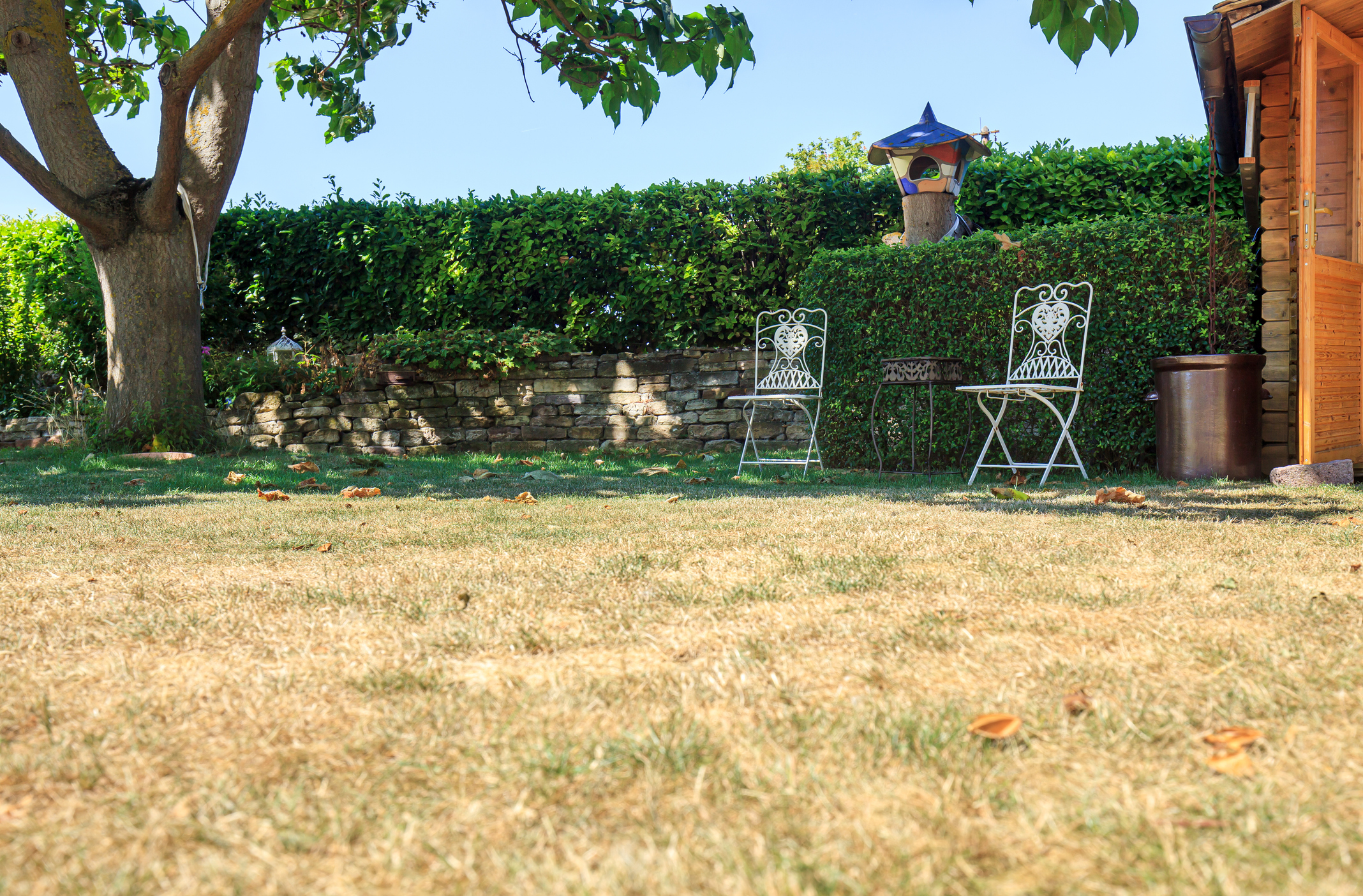 Has your lawn or garden suffered during this recent dry spell?