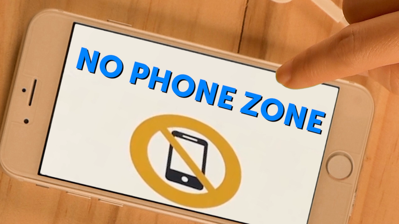 Are you in favor of local schools becoming no phone zones?