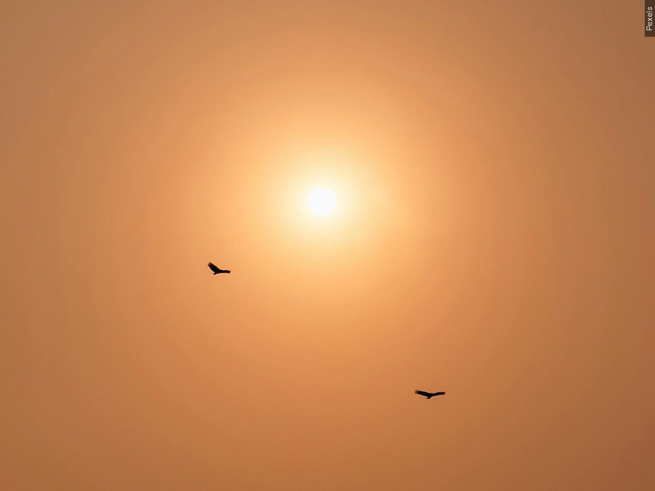Did the summer heat hang on too long this year?