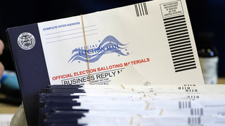 Will you vote in the upcoming election in person or by mail?