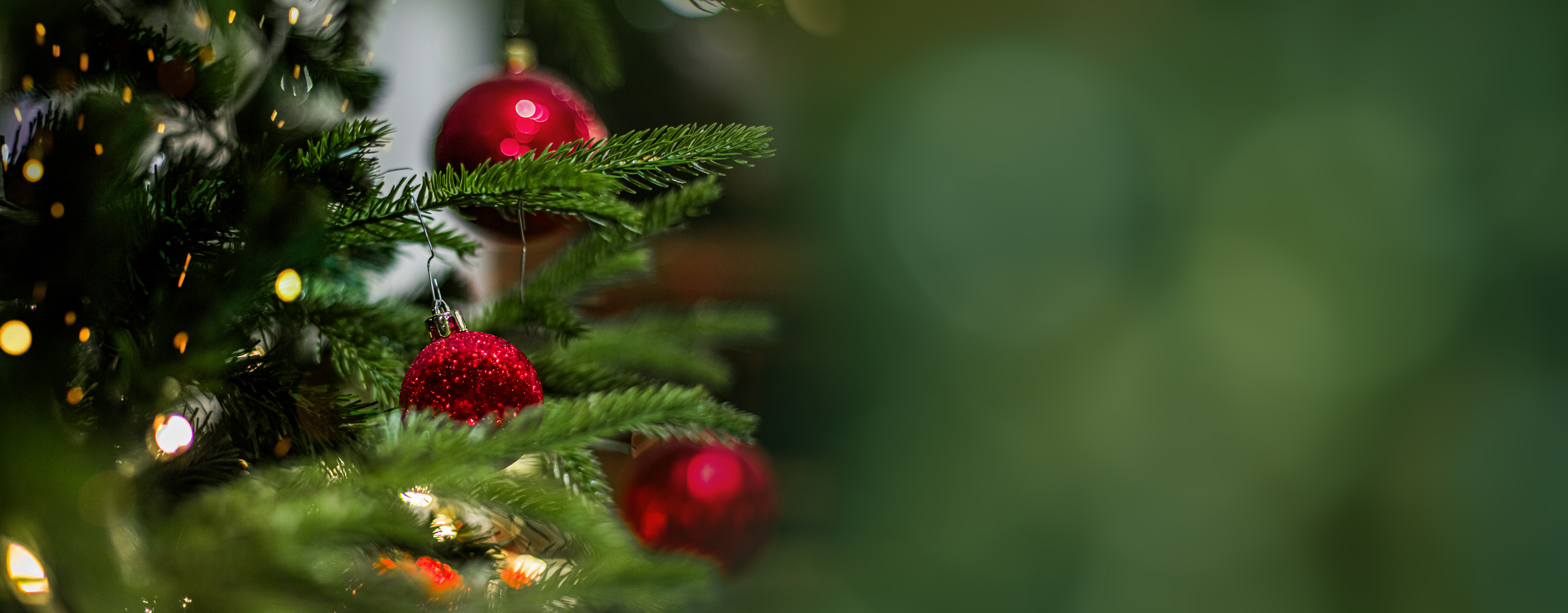 Are you looking forward to the holidays?